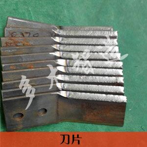 上海多木實業有限公司-成功案例